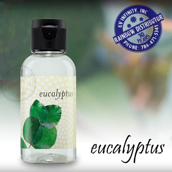 Fragrance Oil Eucalyptus
