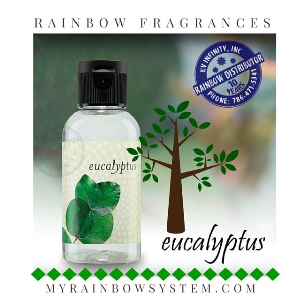 eucalyptus instagram
